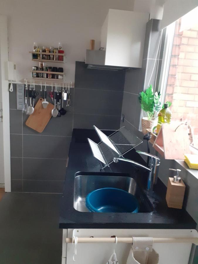 Gezellig Centraal Gelegen Penthouse Oostende Daire Dış mekan fotoğraf